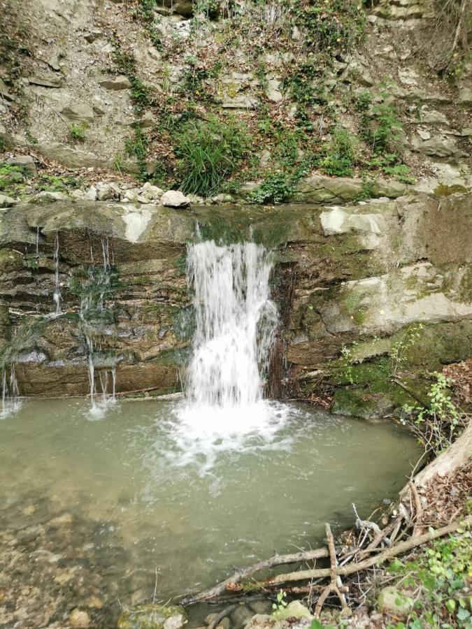 Villa Ca' del tartufaio Castelmauro Esterno foto